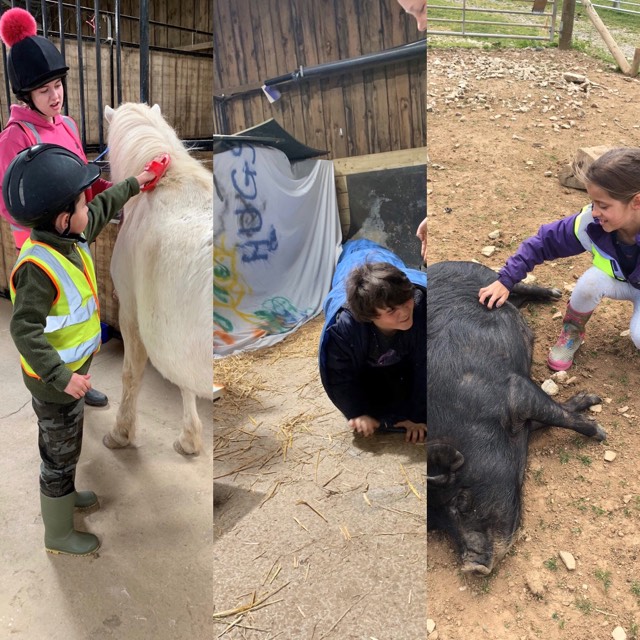 Summer Activities 2019