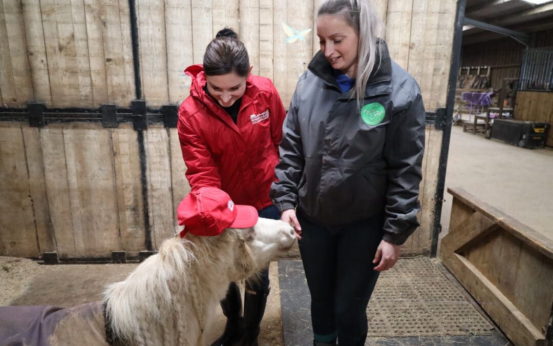 Network for Animals Continuing to Support Hugs
