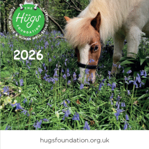 The Hugs Foundation 2026 Calendar