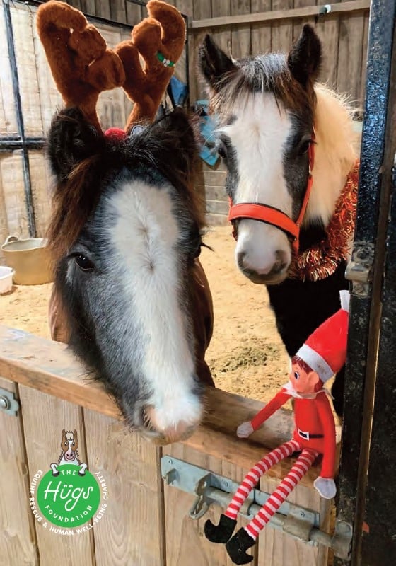 Sunrise childrens foundation christmas boxes dinner