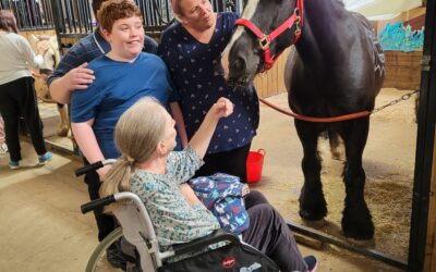 Hugs Summer Open Day Success