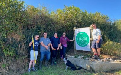 Corporate Volunteer Day with Suez