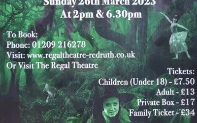 Liz Nolan Theatre Dance School Raising Money for Hugs