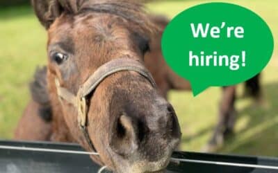Two Job Opportunities at Hugs!