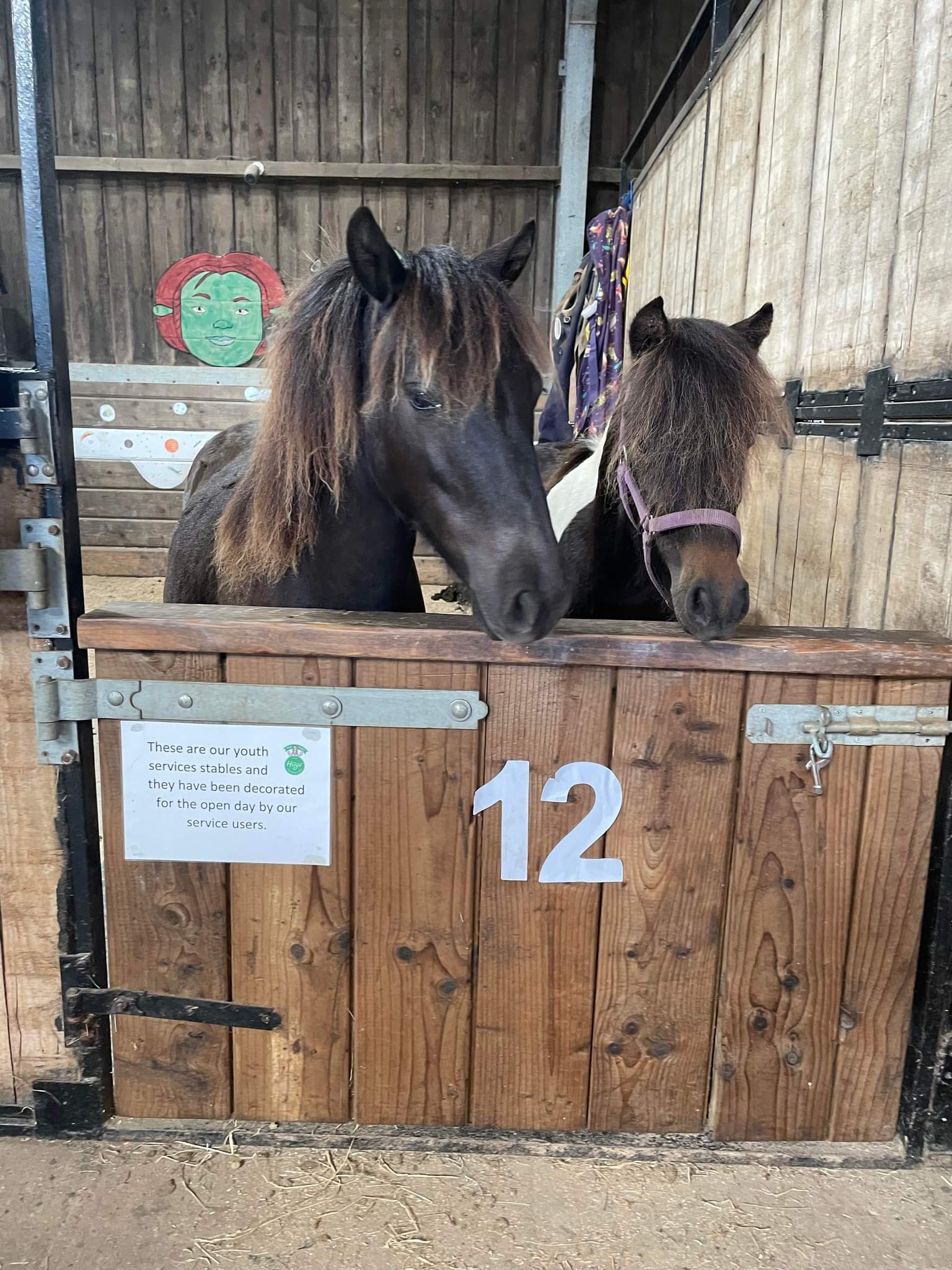Hugs-Foundation-Paddy