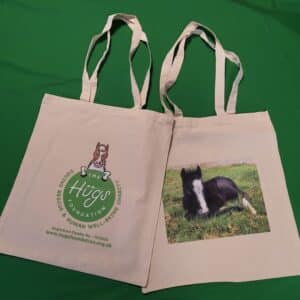 The Hugs Foundation Bag