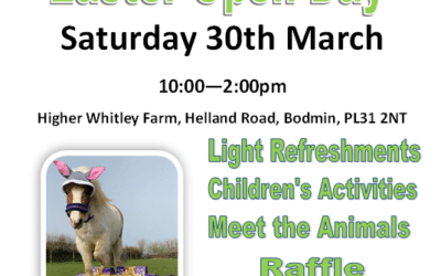 Hugs Easter Open Day