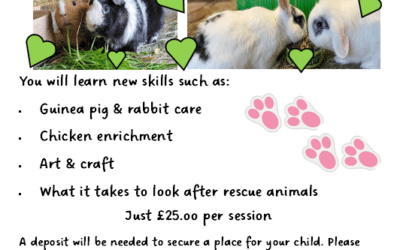 Half Term Children’s Activities