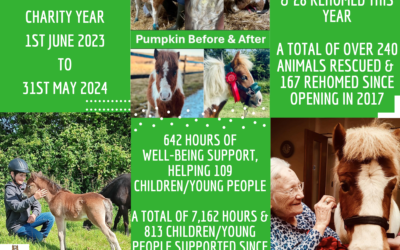 Transforming Lives Together: Our Year of Impact and Progress