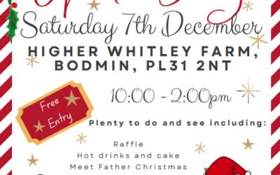 Hugs Christmas Open Day – Saturday 7th December