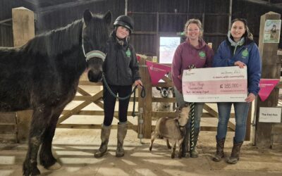 Galloping Towards Brighter Futures: £255,000 National Lottery Grant Fuels Youth Well-Being Project with Rescue Animals