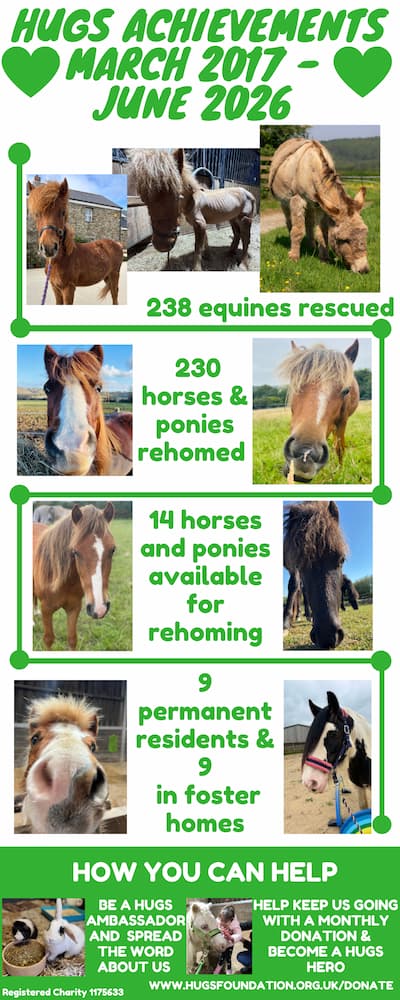Equine-Figures